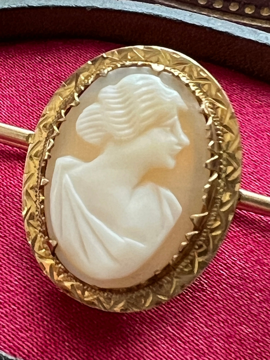 Edwardian Era Gold and Cameo Pin Brooch